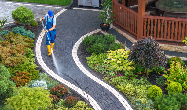 Best Pressure Washing Near Me  in Northfield, KY