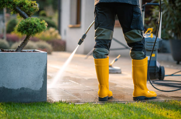 Best Exterior Home Cleaning  in Northfield, KY